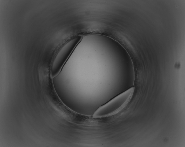 X0000091370260200708311531