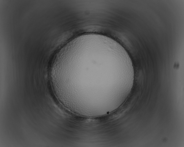 X0000091370261200708311531