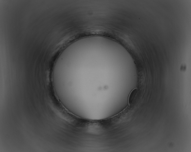 X0000091370262200708311531