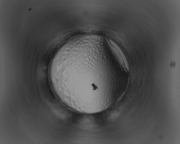 X0000091370263200708311531