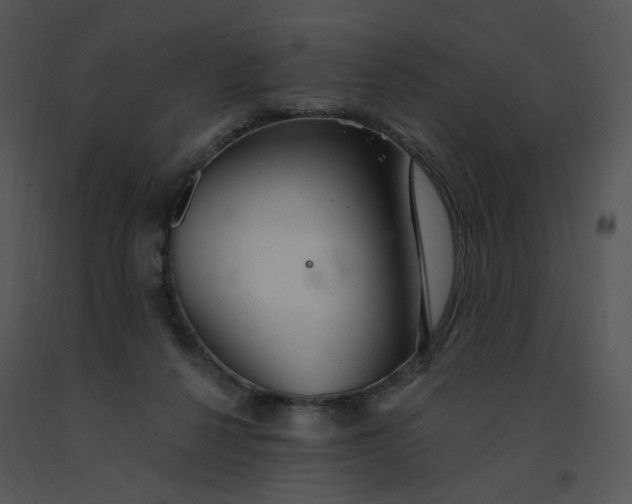 X0000091370264200708311531