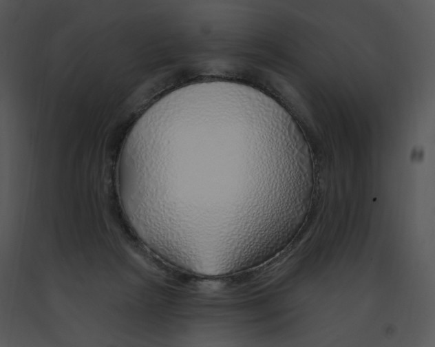 X0000091370265200708311531