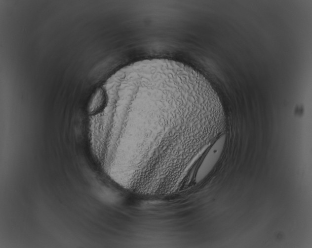 X0000091370266200708311531