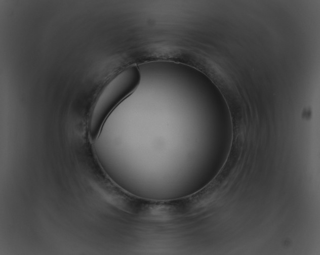 X0000091370268200708311531