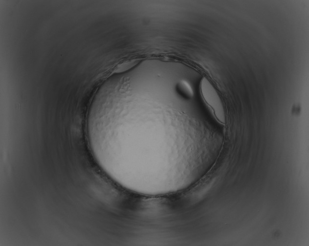 X0000091370269200708311531