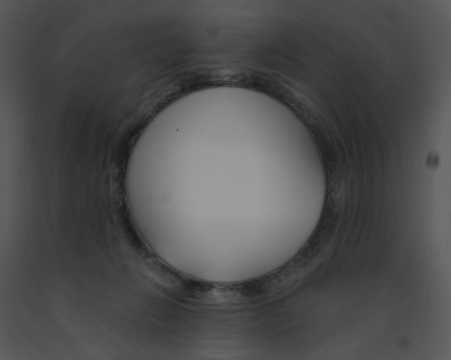 X0000091370270200708311531