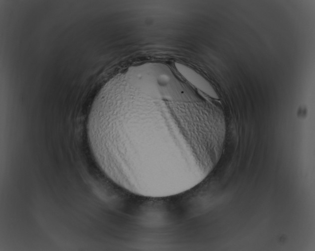 X0000091370271200708311531