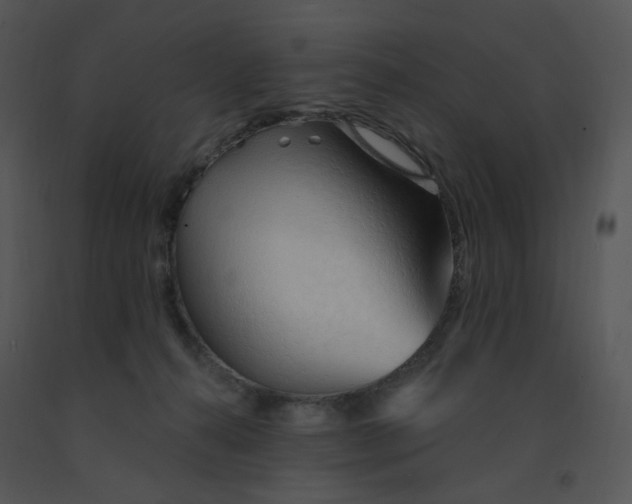 X0000091370272200708311531