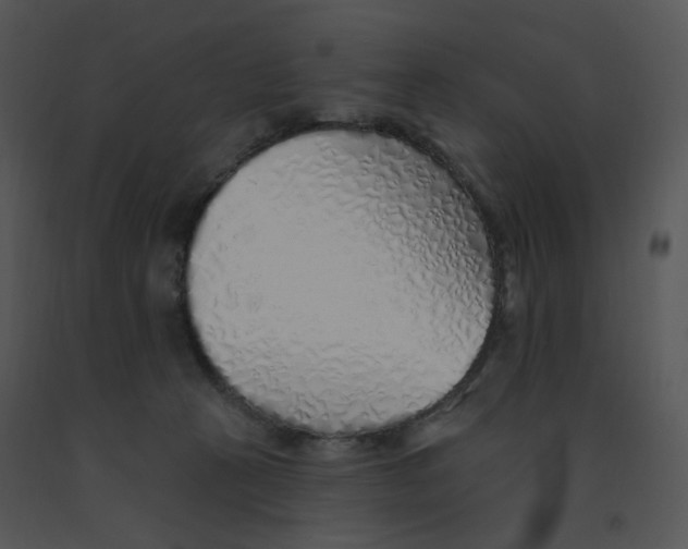 X0000091370273200708311531