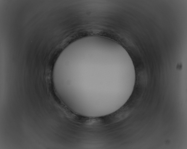 X0000091370274200708311531