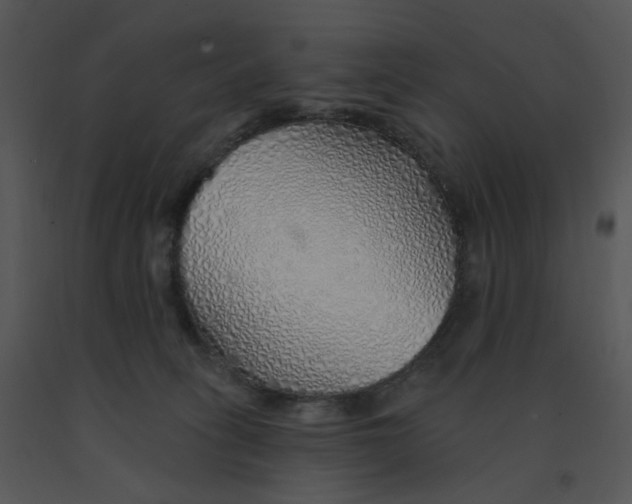 X0000091370275200708311531