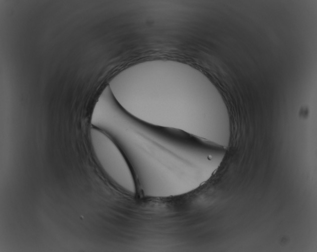 X0000091370276200708311531