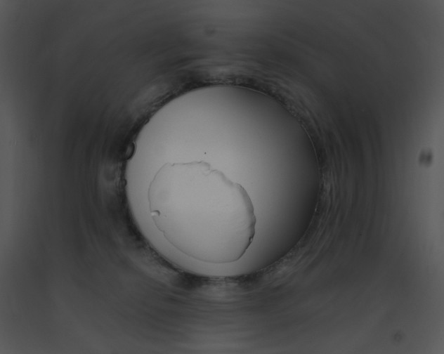 X0000091370278200708311531