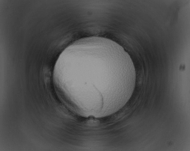 X0000091370279200708311531