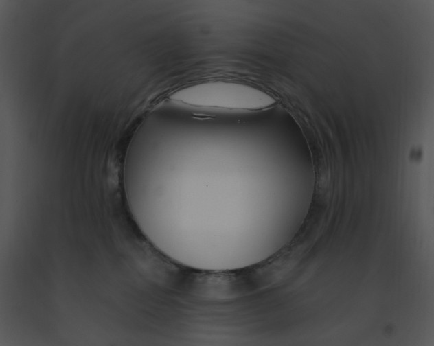 X0000091370282200708311531