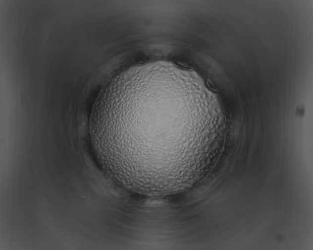 X0000091370283200708311531