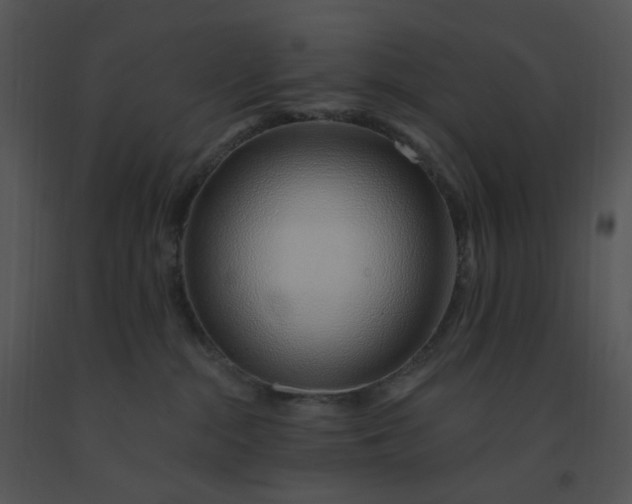 X0000091370284200708311531