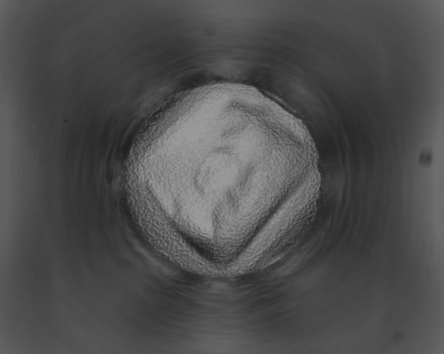 X0000091370285200708311531