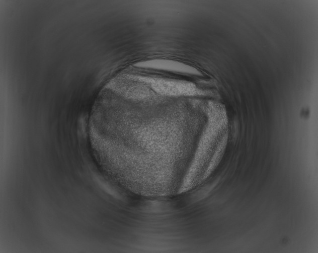 X0000091370286200708311531