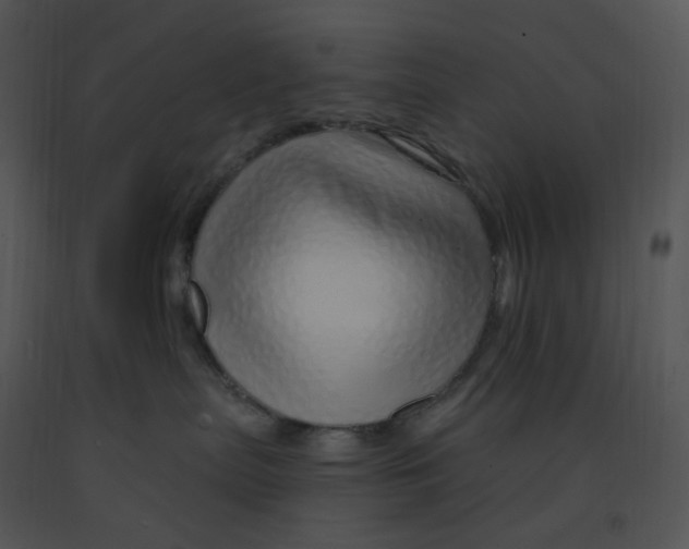 X0000091370287200708311531