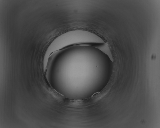 X0000091370288200708311531