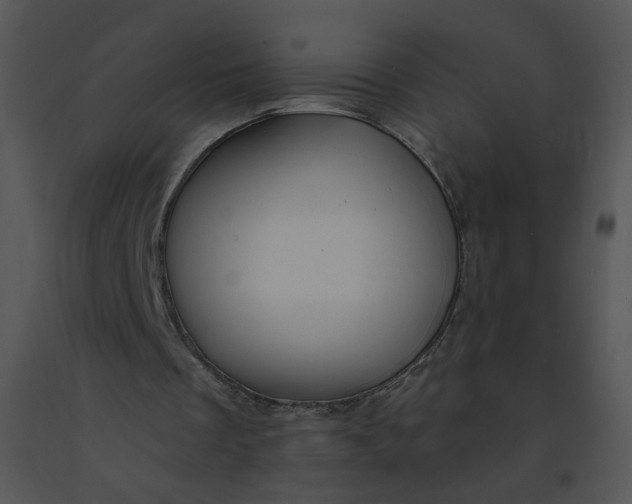 X0000091370289200708311531