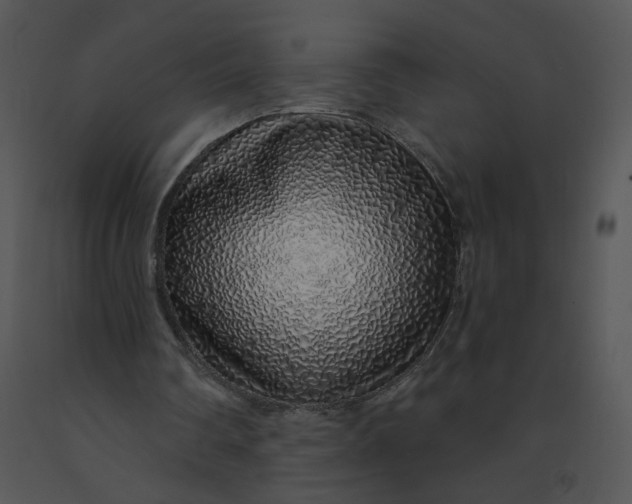 X0000091370290200708311531