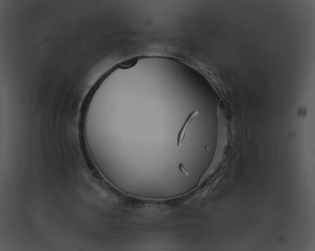 X0000091370292200708311531