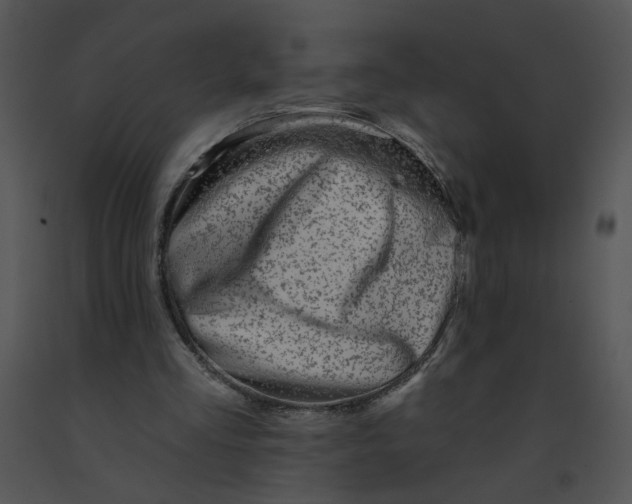 X0000091370293200708311531