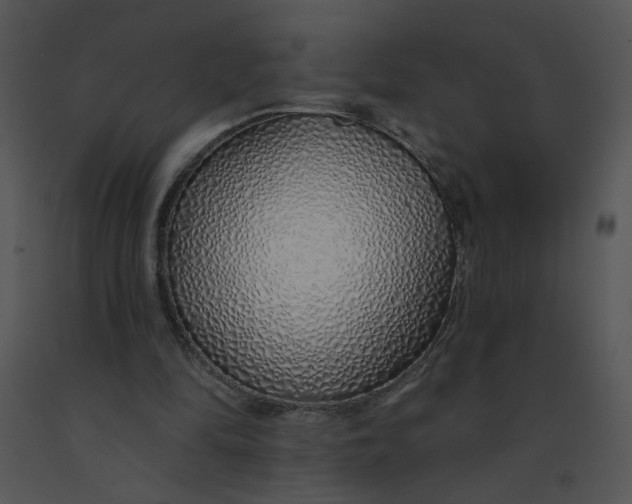 X0000091370294200708311531