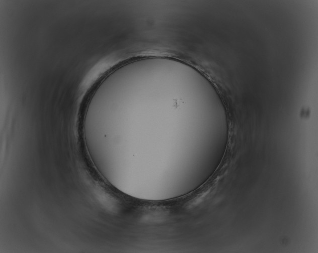 X0000091370296200708311531