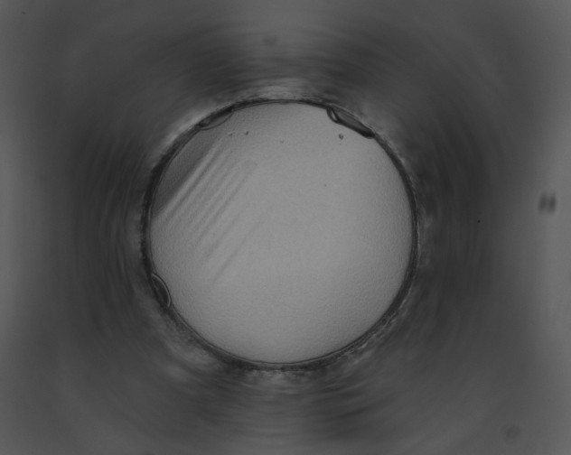 X0000091370297200708311531