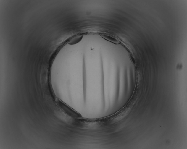 X0000091370301200708311531