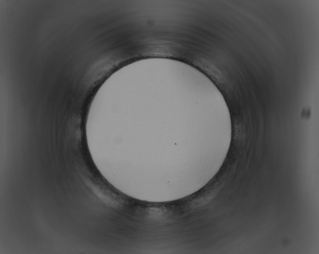 X0000091370302200708311531