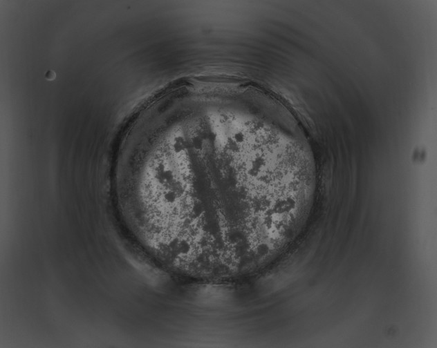 X0000091370303200708311531