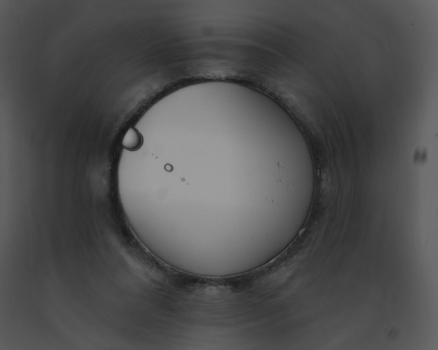 X0000091370304200708311531