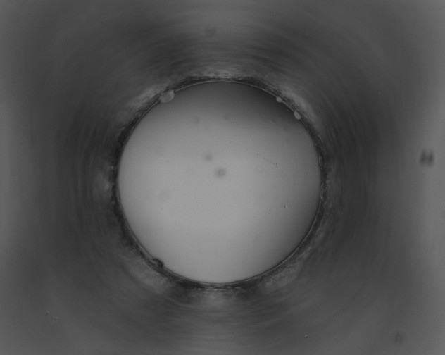 X0000091370305200708311530