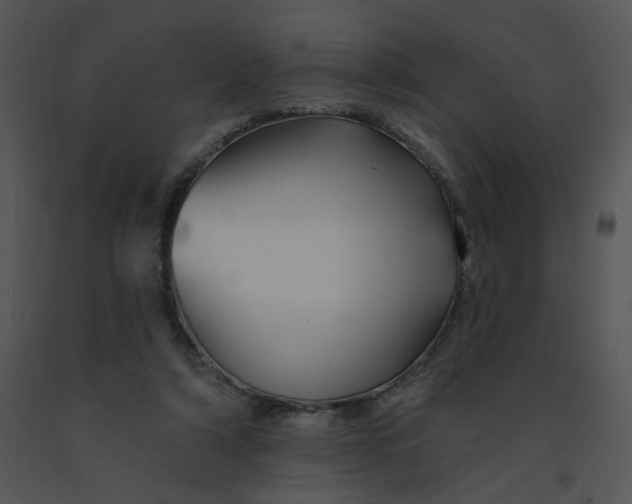 X0000091370306200708311530