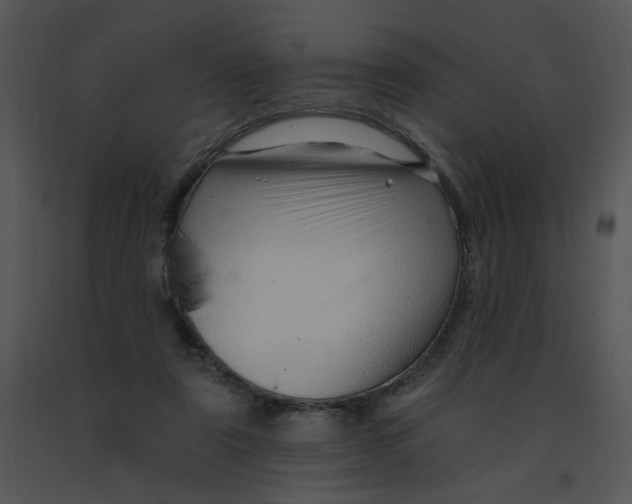 X0000091370307200708311530