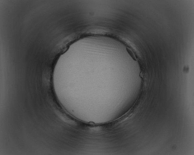 X0000091370309200708311530