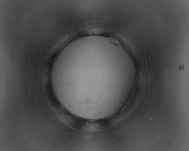 X0000091370311200708311530