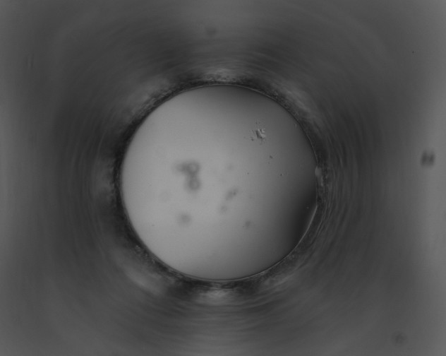 X0000091370312200708311530