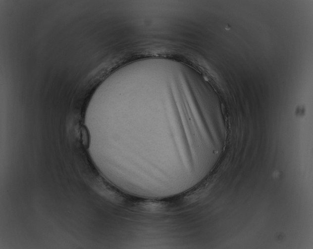 X0000091370313200708311530