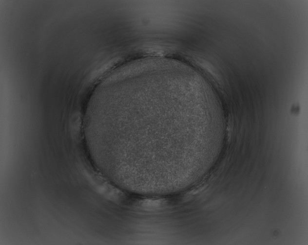 X0000091370314200708311530