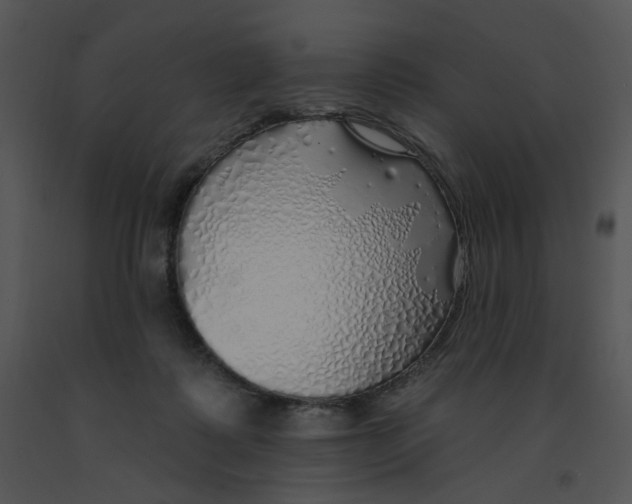 X0000091370315200708311530