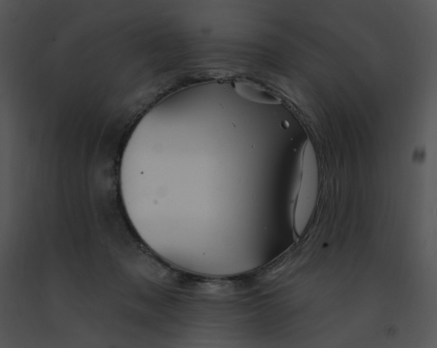 X0000091370317200708311530