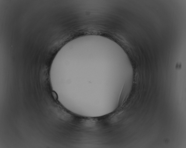 X0000091370318200708311530