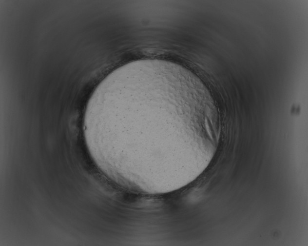 X0000091370319200708311530