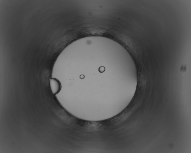 X0000091370321200708311530