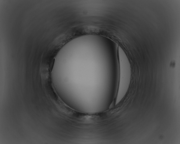 X0000091370323200708311530